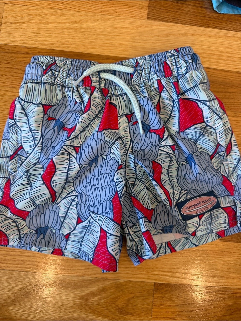 Vineyard Vines Red and Light Blue Tropical Print Kids Swim Shorts